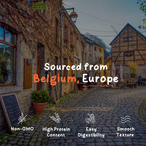 Be Odd Vegan Protein Powder Chocolate Flavored - 1kg.