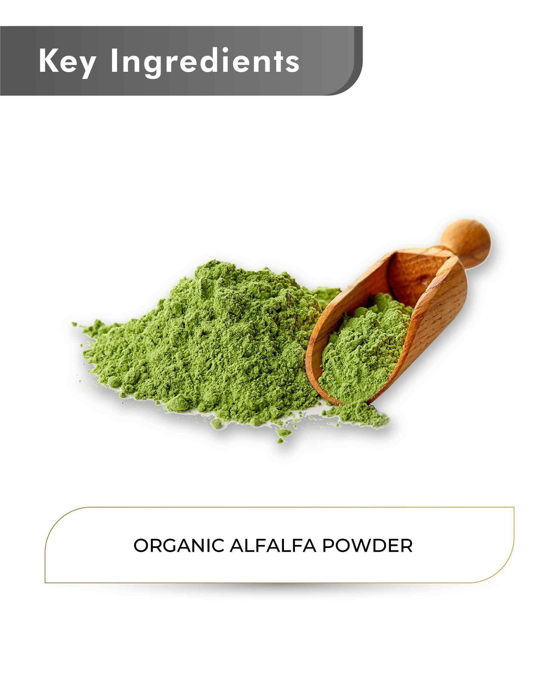 Vegan organic alfalfa powder texture close-up