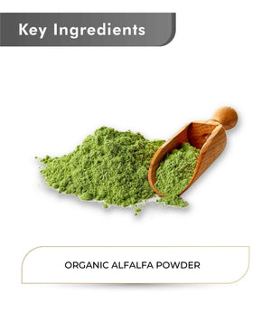 Vegan organic alfalfa powder texture close-up