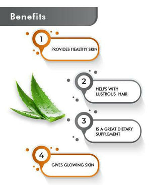 Aloe Vera Powder natural skincare ingredient