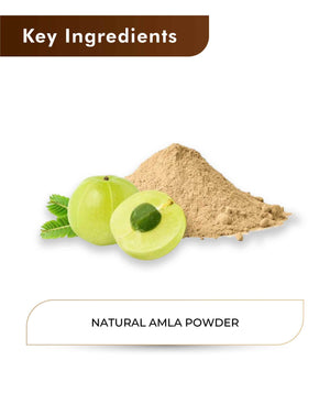 H&C Natural Amla (Indian Gooseberry) Powder - 100gm (Pack of 4).
