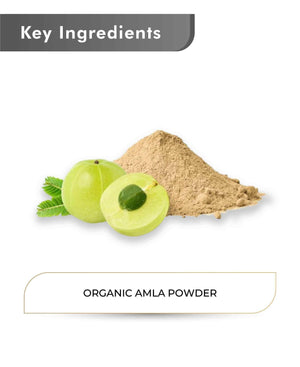 Organic Indian gooseberry powder for digestion and detox