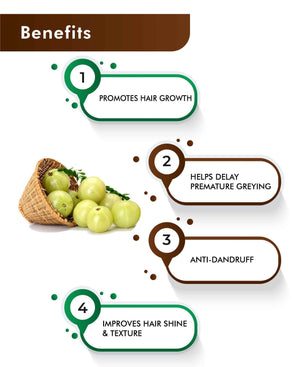 H&C Natural Amla (Indian Gooseberry) Powder - 100gm (Pack of 4).