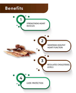 Ayurvedic supplement for cholesterol and circulation