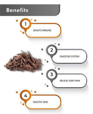 Ashoka Bark Powder for Women’s Health and Wellness