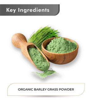 Organic barley grass powder superfood