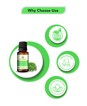 Korus Essential Basil Oil - 15ml (Pack of 2).