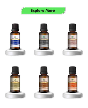 Korus Essential Basil Oil - 15ml (Pack of 2).