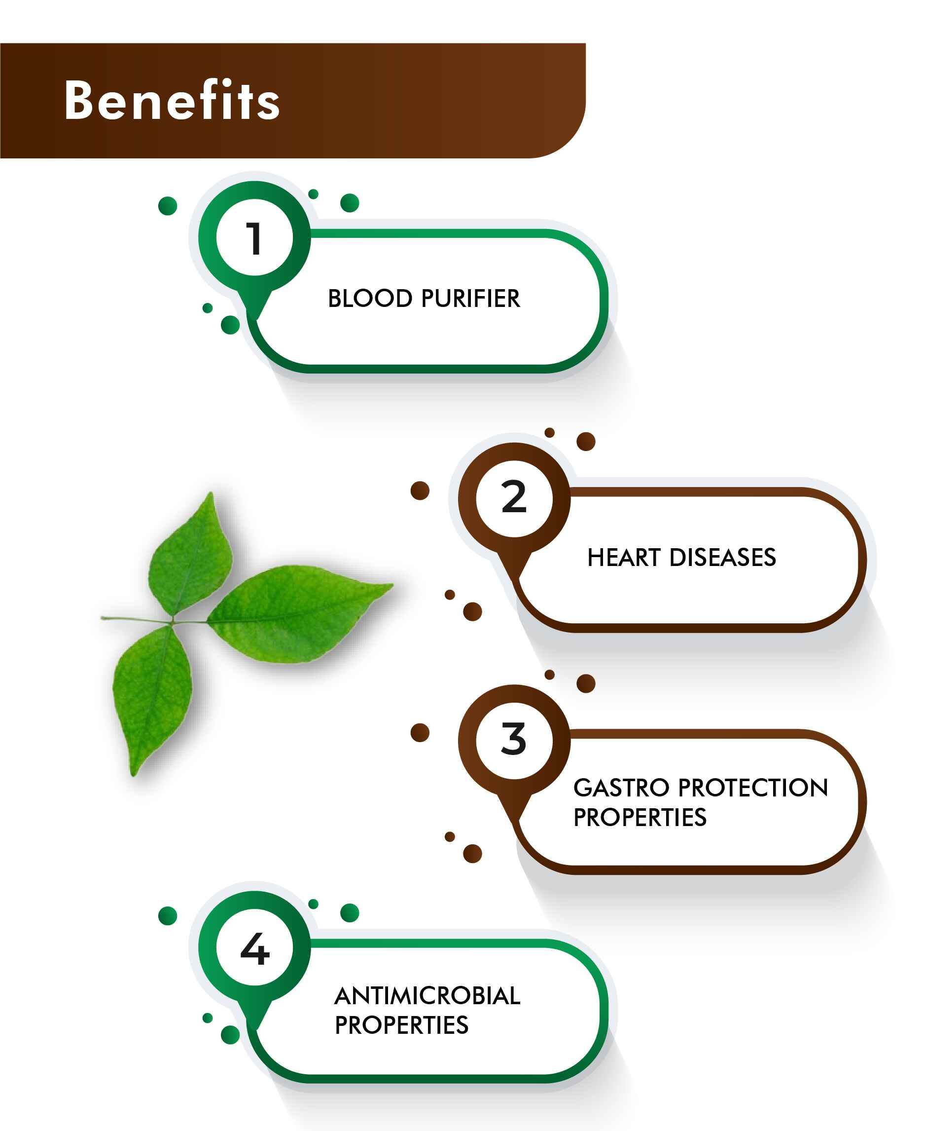 Bael leaves powder for constipation relief