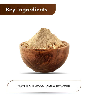 H&C Natural Bhoomi Amla Powder - 100gm (Pack of 3).