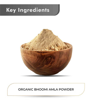 Organic Bhoomi Amla powder immunity booster