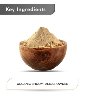 Organic Bhoomi Amla powder immunity booster