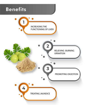 Herbal Bhoomi Amla powder natural detox supplement