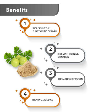 Organic Phyllanthus niruri tablets for digestive and kidney support