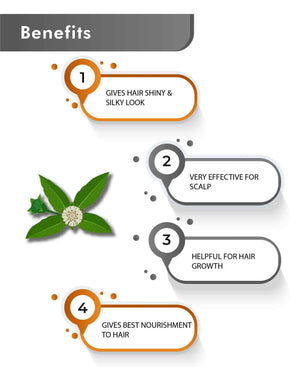 Pure Bhringraj Leaf Powder chemical free