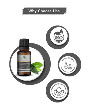 Black peppercorns steam distillation process for essential oil