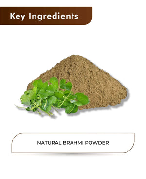 H&C Natural Brahmi Powder - 100gm (Pack of 4).
