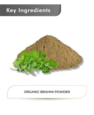 Just Jaivik Brahmi powder herbal nootropic supplement