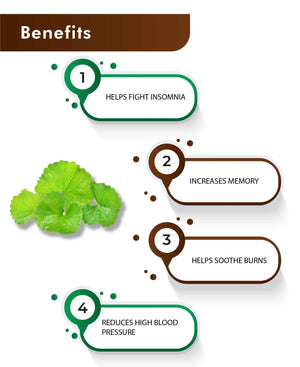 Brahmi tablets for nervous system and better sleep