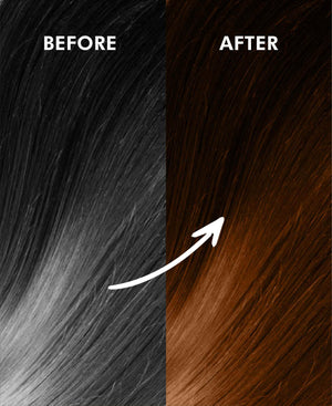 Korus Essential Herbal Hair Color (Brown) - 100g (Pack of 3).