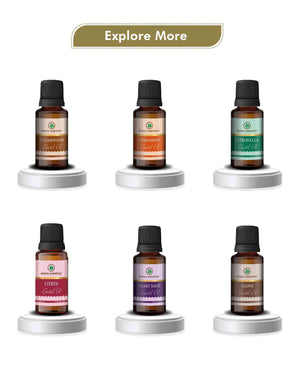 Korus Essential Cardamom Oil - 15ml (Pack of 2).