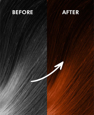 Korus Essential Herbal Hair Color Chestnut 100gm - Ammonia Free - Health N Wellness Shop