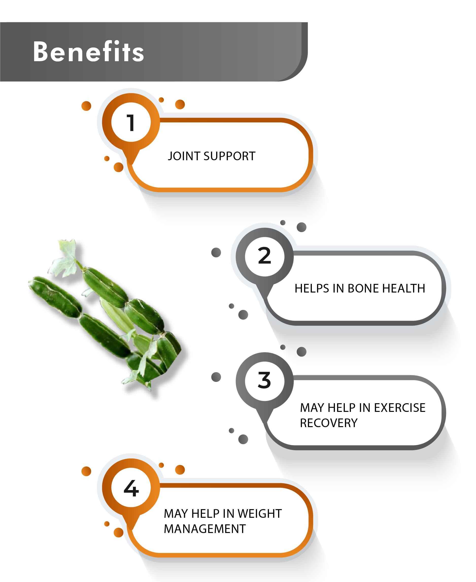 Natural Hadjod joint pain relief supplement