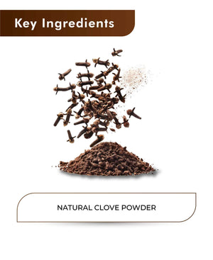Clove powder for toothache natural remedy