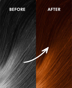 Korus Essential Herbal Hair Color (Copper) - 100gm (Pack of 3).