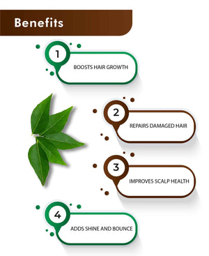 H&C curry leaves powder – premium organic supplement for wellness