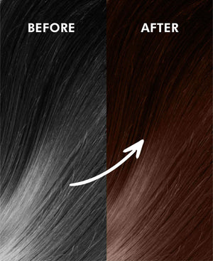 Korus Essential Herbal Hair Color Dark Brown 100g - Natural Ammonia - Free - Health N Wellness Shop