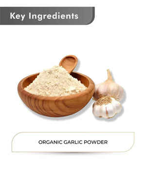Fine-textured organic garlic seasoning by Just Jaivik