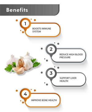 Premium certified organic garlic spice powder