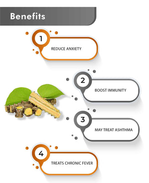 Giloy capsules for immune system support