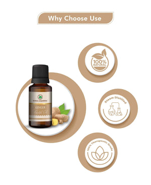 Korus Essential Ginger Oil - 15ml.