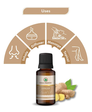 Korus Essential Ginger Oil - 15ml.
