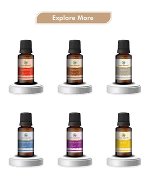 Korus Essential Ginger Oil - 15ml.