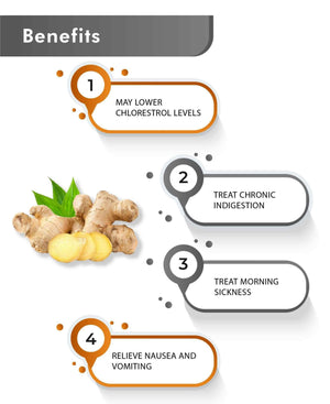 Pure ginger root powder by Just Jaivik