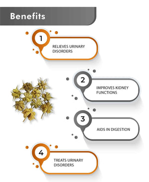 Tribulus Terrestris herbal supplement powder