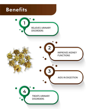 Ayurvedic stamina and vitality booster