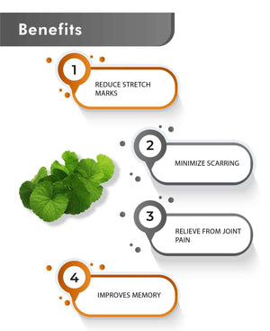 Gotu Kola Herbal Powder for Memory and Concentration