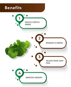 Herbal anxiety relief and skin health supplement Gotu Kola