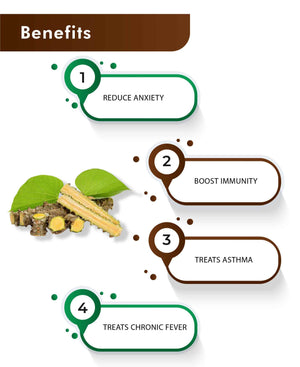 Natural Guduchi Powder Benefits for Digestion and Immunity