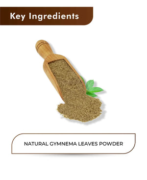 100% natural Gymnema sylvestre leaves powder