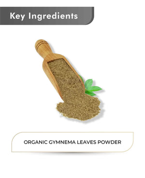 Gudmar Gymnema Sylvestre powder for diabetes