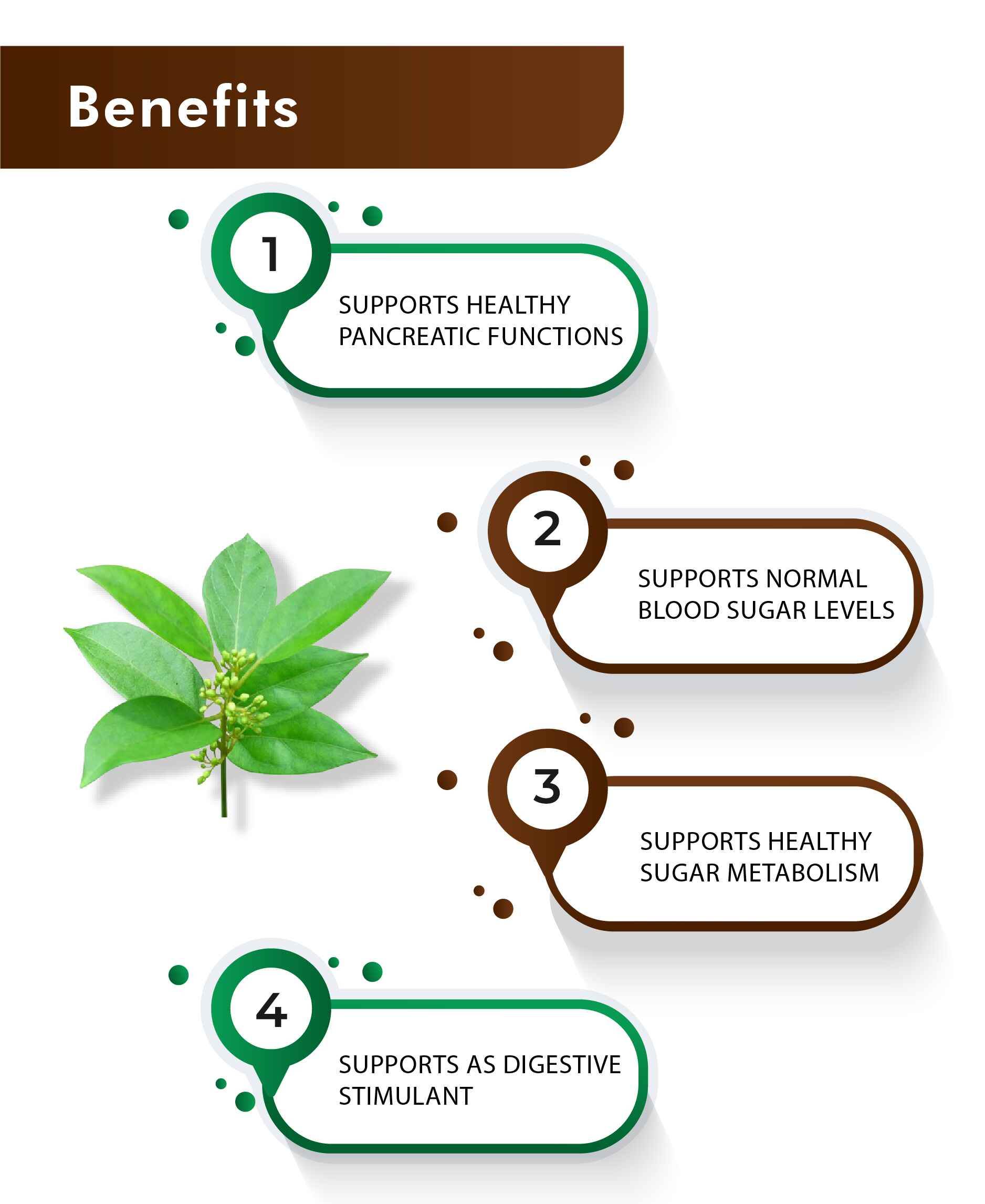 Natural Gymnema sylvestre extract tablets for metabolic health