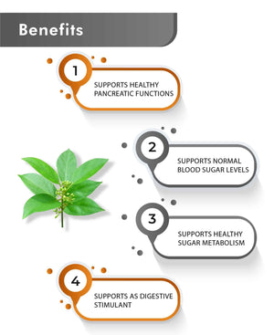 Just Jaivik Gymnema sylvestre dietary supplement capsules