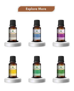 Korus Essential Hazelnut Oil - 15ml (Pack of 2).