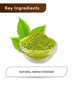 H&C Natural Henna Powder - 100gm ( Pack of 4).