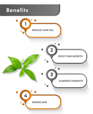 Chemical-Free Herbal Henna Paste for Natural Hair Dye